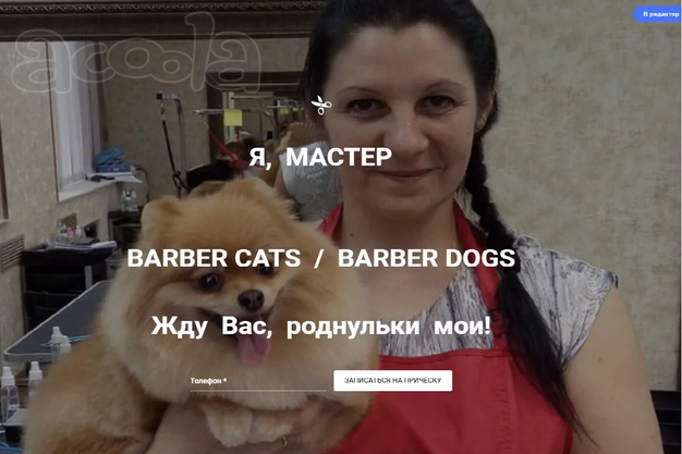 Стрижка собак. Любимки мои, жду Вас  пл. Калинина) в Новосибирске